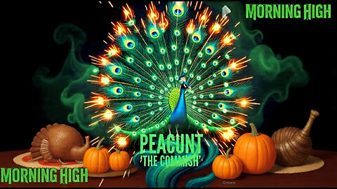 MORNING HIGH 🌞 THANKSGIVING THURSDAY🦃☁️☁️🚬🤘👀🦚