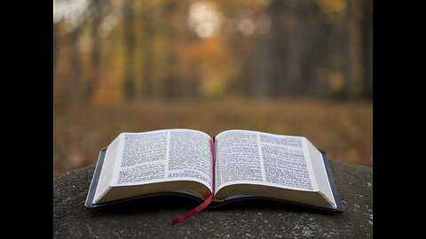 Rich reads the bible | Exodus 10 - 20 |