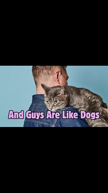 Chicks Are Like Cats