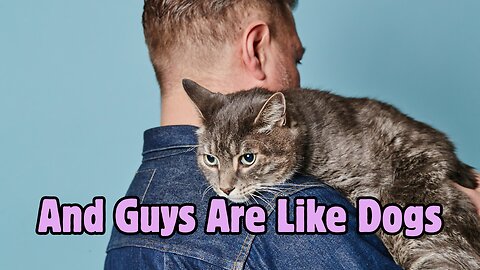 Chicks Are Like Cats