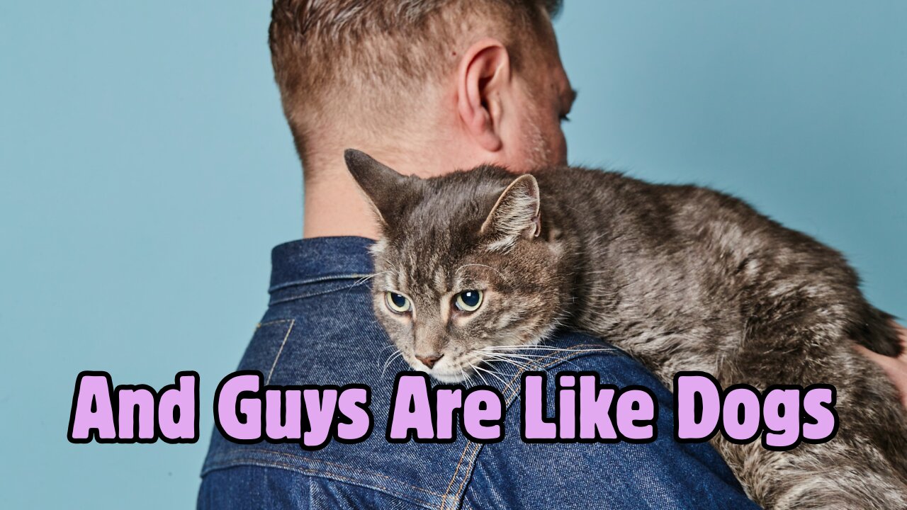 Chicks Are Like Cats