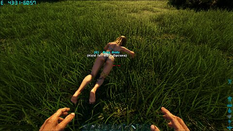 Ark game play