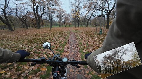 Cycling, 14.11.2025 [A] Grüner Prater