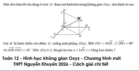 THPT Nguyễn Khuyến 2026: Một chú chim bồ câu đang ở vị trí M được mô hình hóa trong không