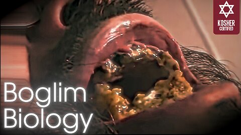 dentist explains kingcobrajfs #2