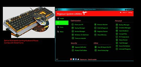 🤨This Video Shows You How To Program Faster Windows 11 Settings Using Pegasun System Utilities🥱🍿