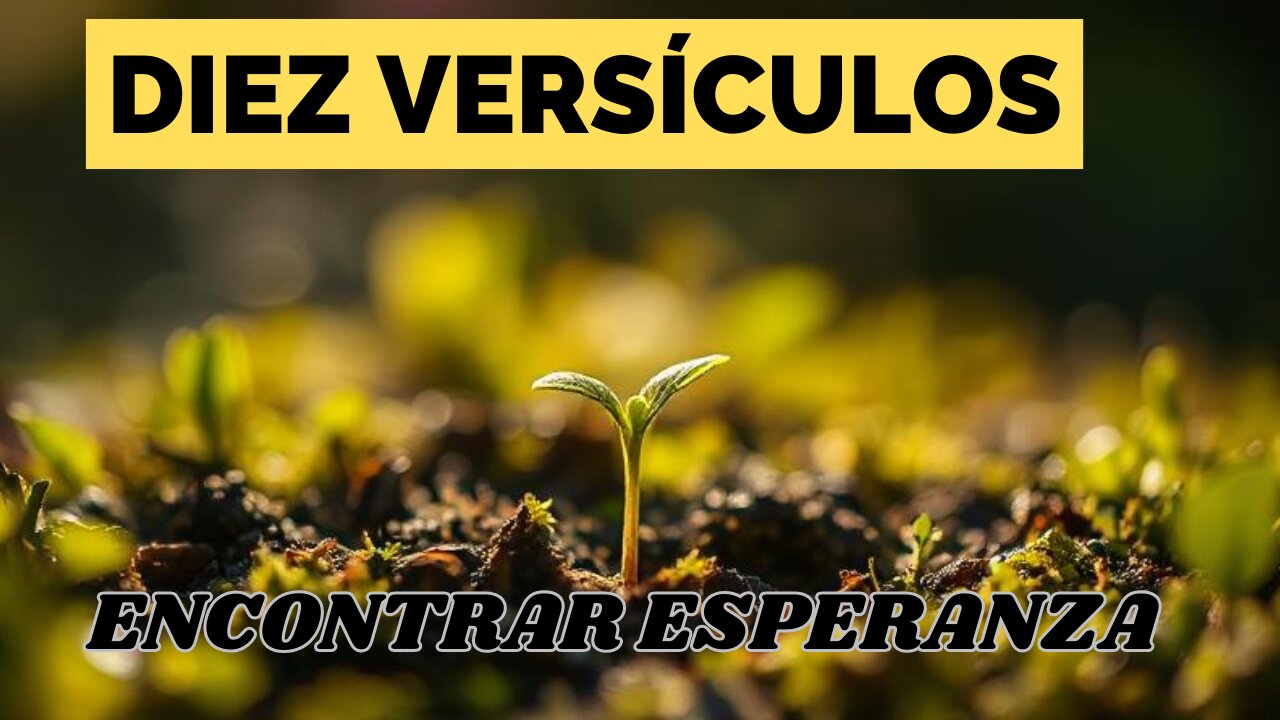 Diez Versículos para Encontrar Esperanza en la Adversidad.