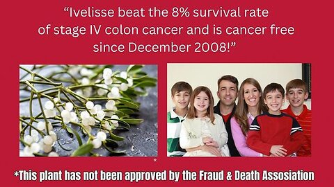 "Overcoming Stage 4 Cancer: The Miraculous Role of Mistletoe in Cancer Treatment"
