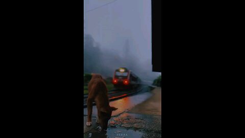 Ohiya