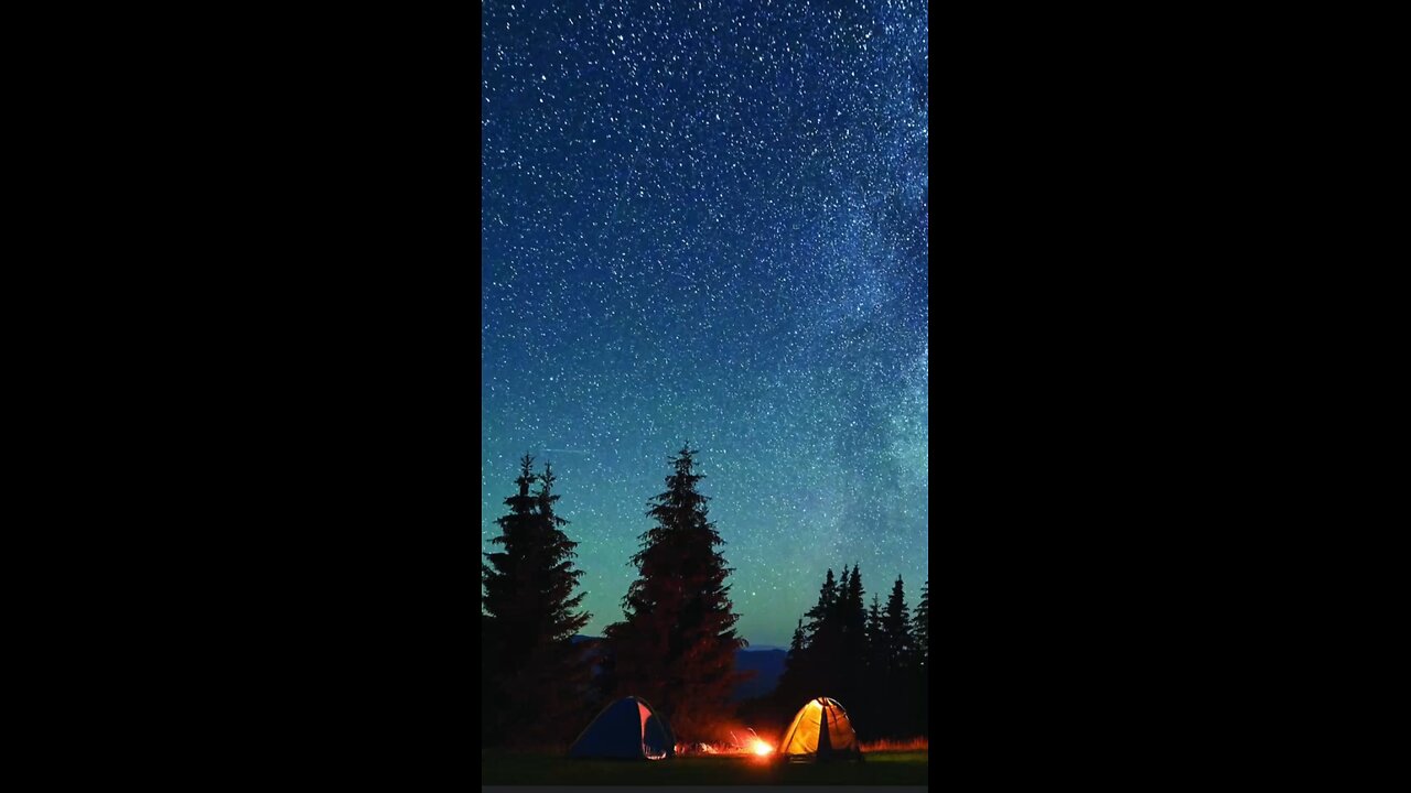the beauty of the night.