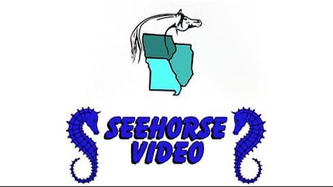 2025 Region 11 Arabian & Half-Arabian Championship Show - Sunday