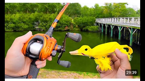 Fishing a Duck Lure for Pond MONSTERS!