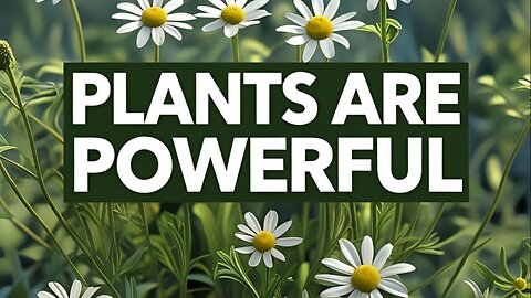What Makes Plants Powerful? Inside Their Active Ingredients…