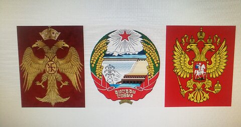 People's Korea and Russian Military Liberate Kursk !