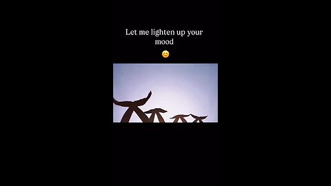 let me lighten up your mood 🐇😌