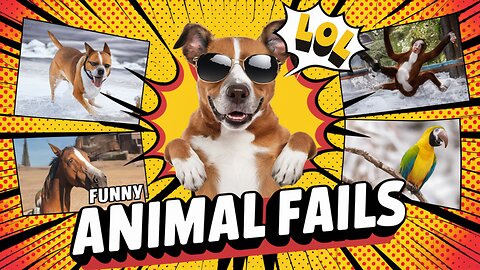 Funny Animal Fails | Hilarious Animal Moments | WidoFails