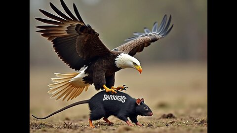 Steve Bannon's speech at Greenville, SC April 2025
