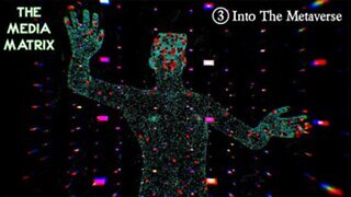 Into the Metaverse