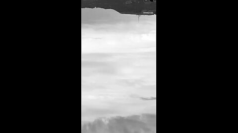 Fluid Nior Dynamics