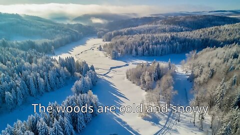 Walking Winter Woods