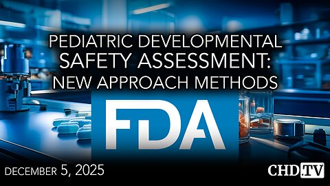 Pediatric Developmental Safety Assessment: New Approach Methods