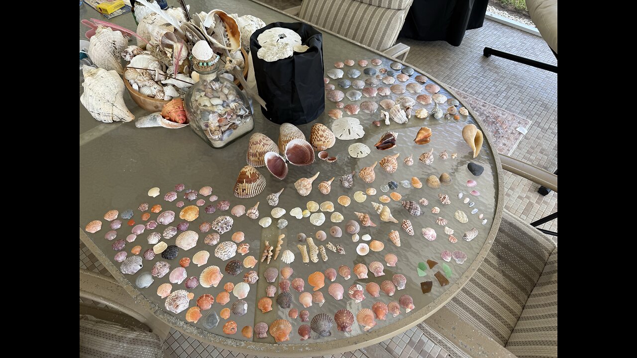 Beach Finds 8/24/2025 | 4K