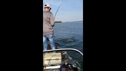 Jared Mille lacs