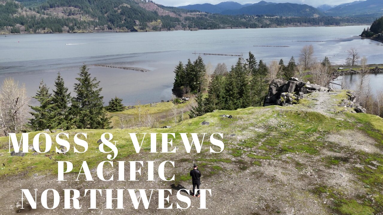 For Moss and Views Click Here | Columbia River Gorge | Oregon