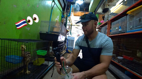 We found an illegal Animal Market in Bangkok