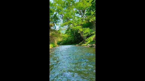flowing river water