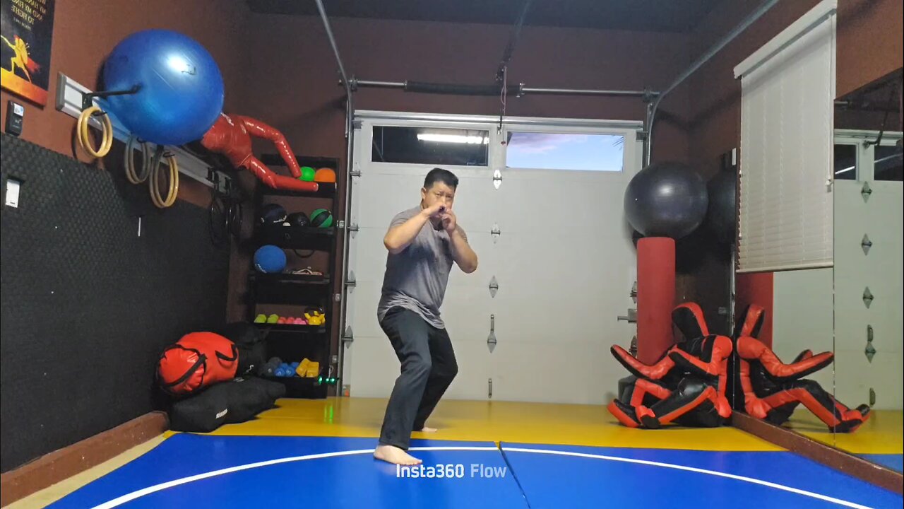 WTD Crescento Kick to Snap Hook Kick sequential