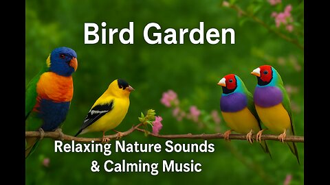 Bird Garden | Relaxing Bird Sounds & Beautiful Nature | Calming Music for Sleep & Meditation