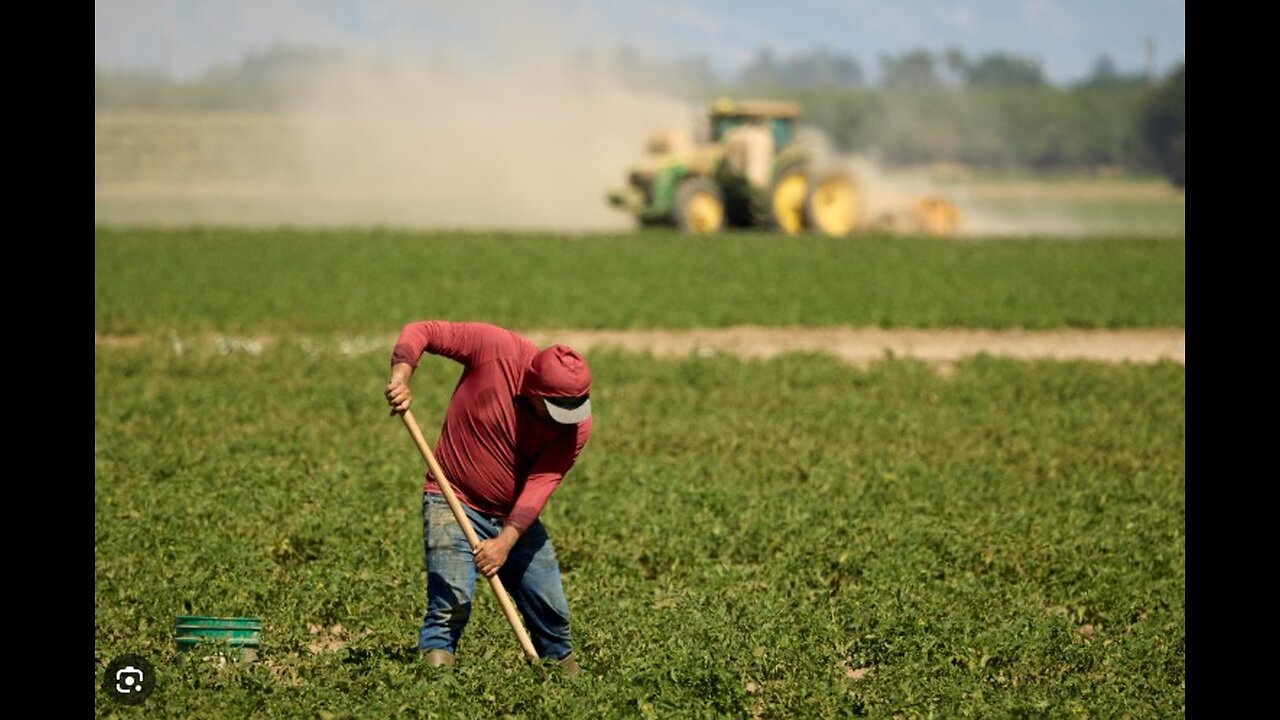 Labor Department Suspends Biden-Era Farmworker Rule