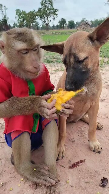 Well Best SokYaa, OG, Pao & Mom Are Famous Around The World #shorts #anime #trend #edit