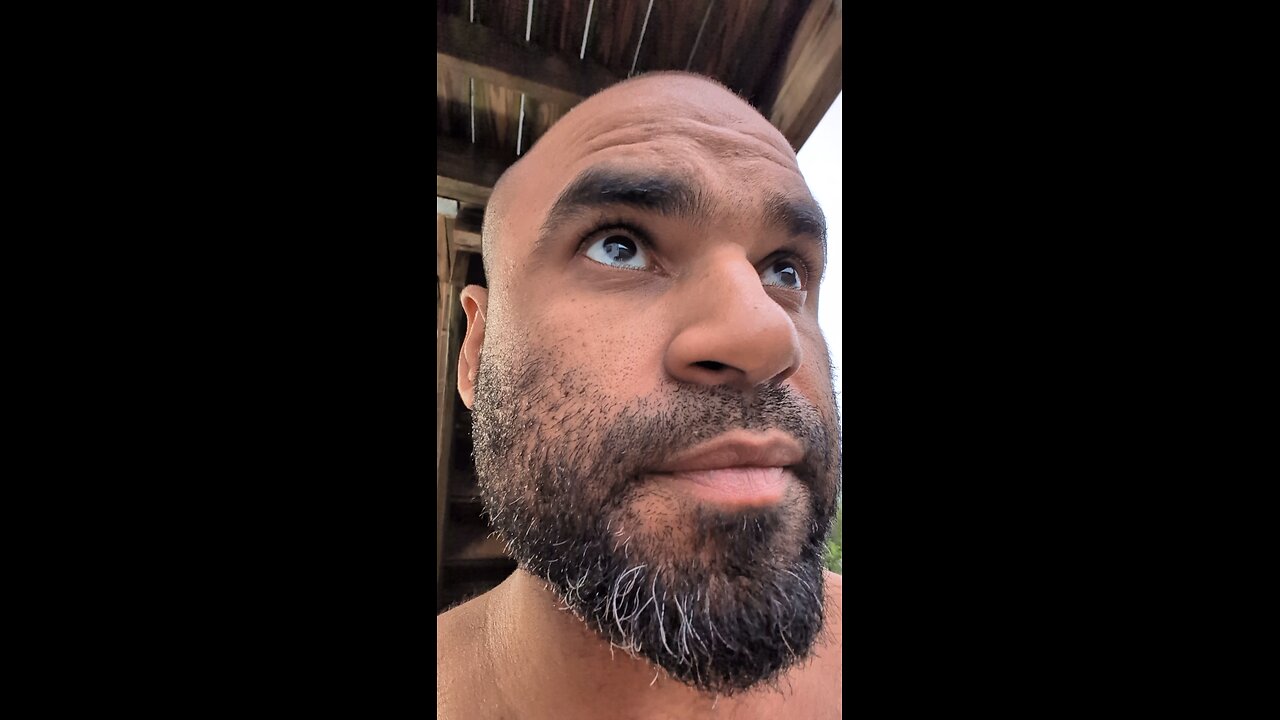 if I were a monkey, it would be cheap.