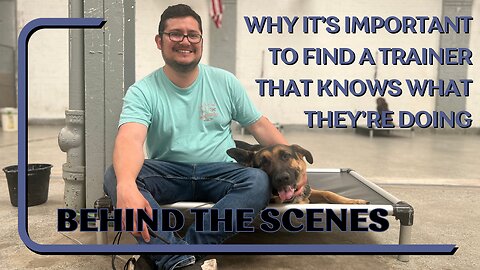 Why It's Important To Find A Trainer/Boarding Facility That Knows What They're Doing