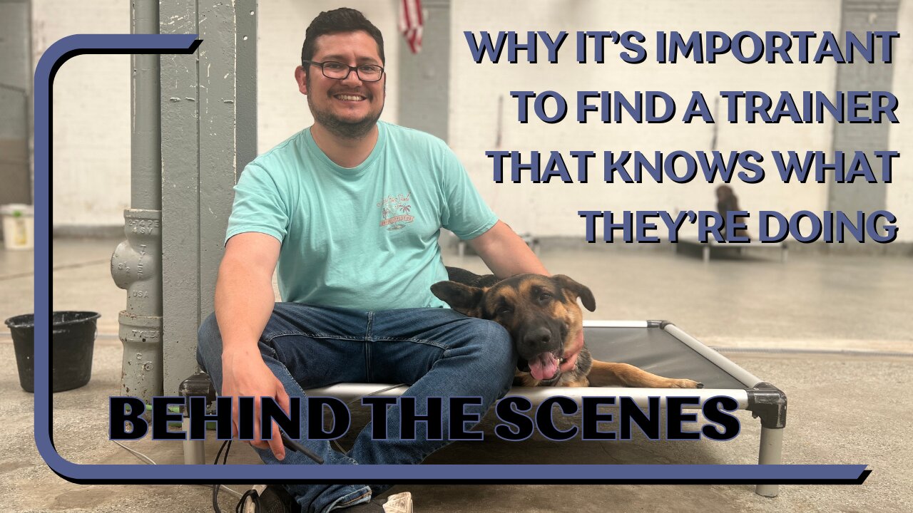 Why It's Important To Find A Trainer/Boarding Facility That Knows What They're Doing