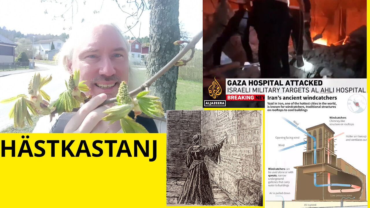Himmler och Wralda. Satanistisk israelisk palmsöndag. Tänka på 15M döda. Trump-deals? Kory hackad