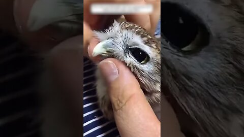 The guy came from work and there was a wounded son-in-law waiting for him on the doorstep