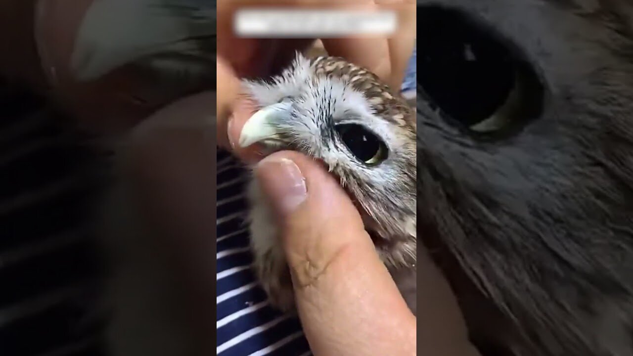 The guy came from work and there was a wounded son-in-law waiting for him on the doorstep