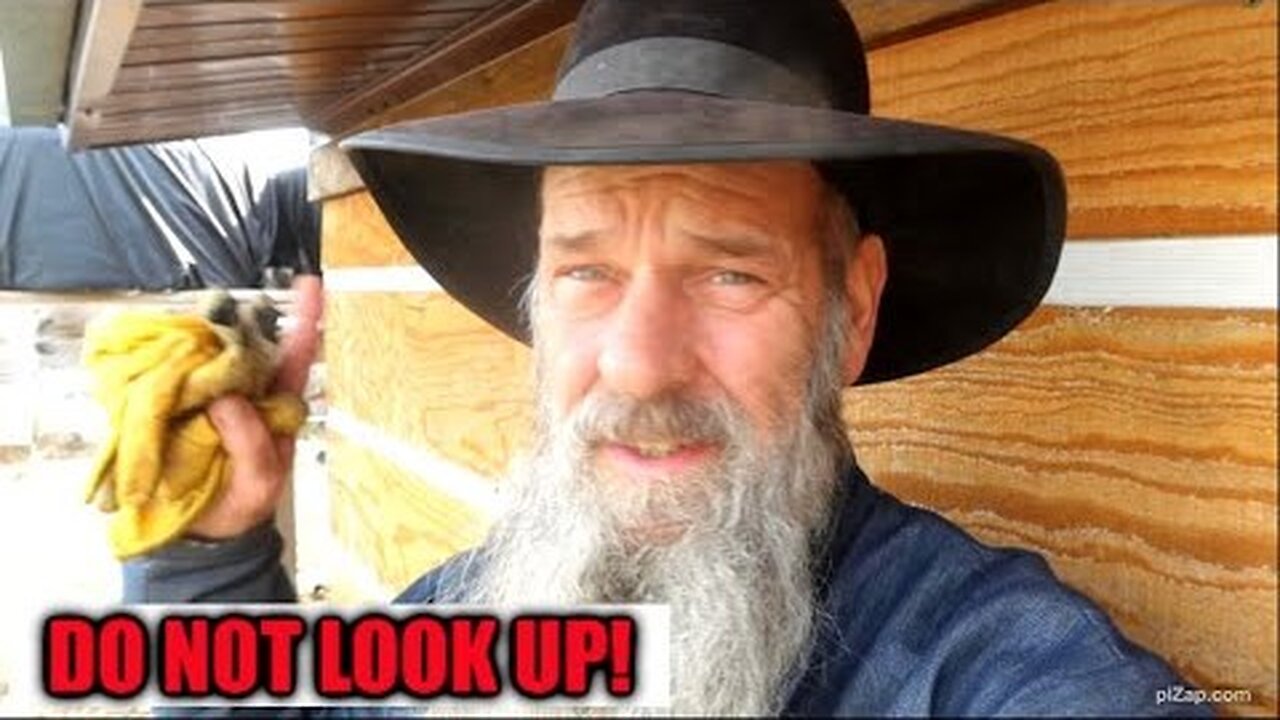 THE ELEPHANT IN THE ROOM! Dougs Talking About It & Its Getting Him Demonetized! Dont Look Up!👀 Doug