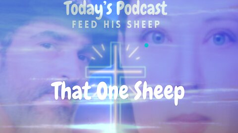 Today's Podcast - Feed His Sheep