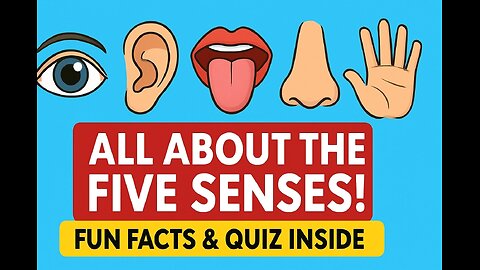 👀👂👅👃✋पांच इंद्रियाँ – हमारे शरीर का जादू