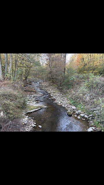 Viking Blades Gatlinburg TN