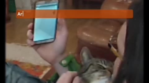 8th April 2018 indirect contact video call, part 6