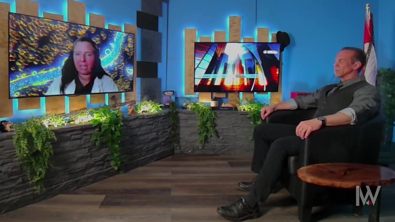 Dr Ana Mihalcea Details The Circuits Found in All Blood Now & How To Remove Them