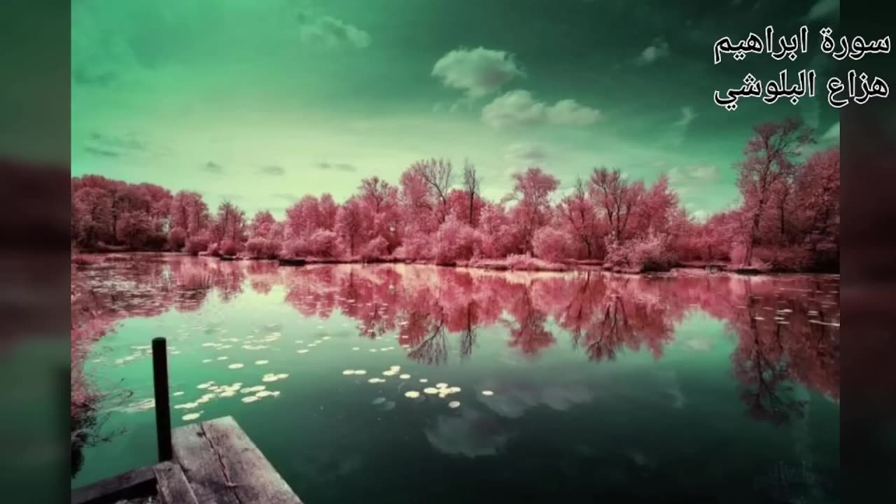 اجمل الاصوات في العالم تلاوات تبكي