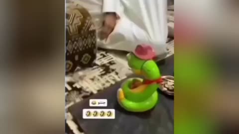 Impossible Try Not To Laugh Challenge 🤣 Funny Videos Compilation
