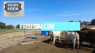 Trent Loos in the Morning - 11/24/2025