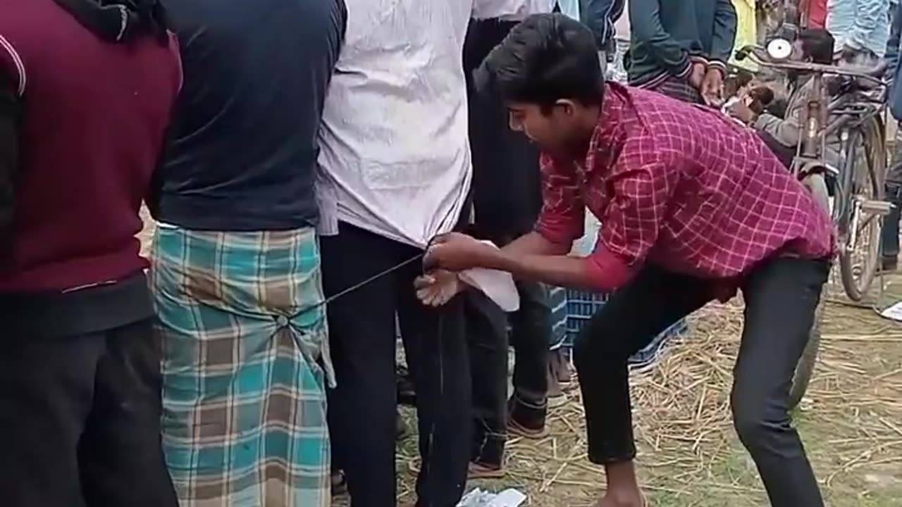 latest funny video